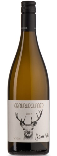 Susanne Wild Grauburgunder.jpg