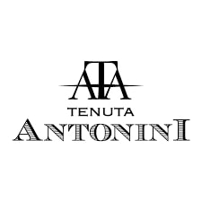 Tenuta Antonini